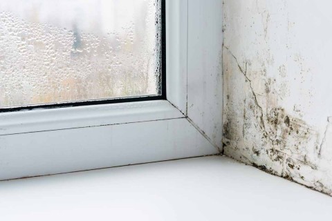 Filtraciones de agua en edificio: qué hacer y quién responde por ellas