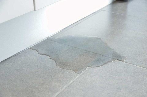¿Cómo detectar una fuga de agua en la cocina? Guía útil y práctica