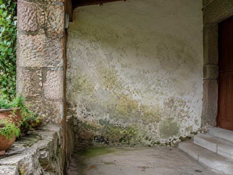 Muro antiguo con humedad en una vivienda gallega